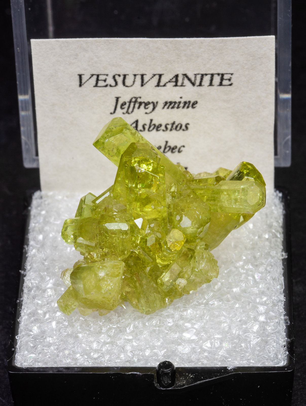specimens/s_imagesAL8/Vesuvianite-TY86AL8f1.jpg
