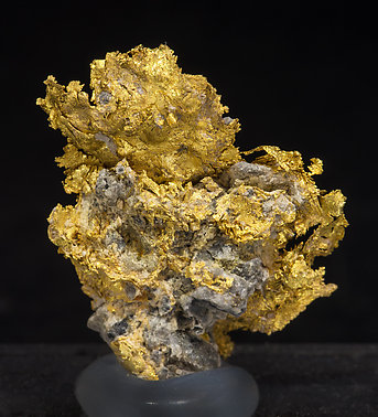 Gold (variety electrum). Rear