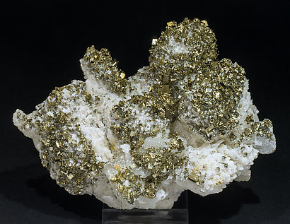 Pyrite with Quartz, Calcite-Dolomite and Muscovite. 