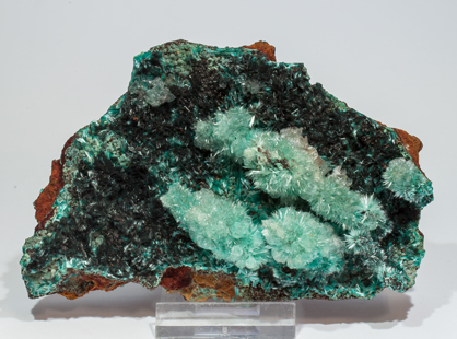 Aurichalcite with Calcite and Murdochite. Front