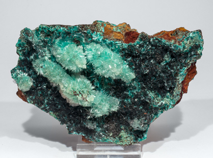 Aurichalcite with Calcite and Murdochite. Side
