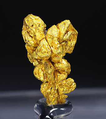 Gold (spinel twin). Rear  / Photo: Joaquim Calln