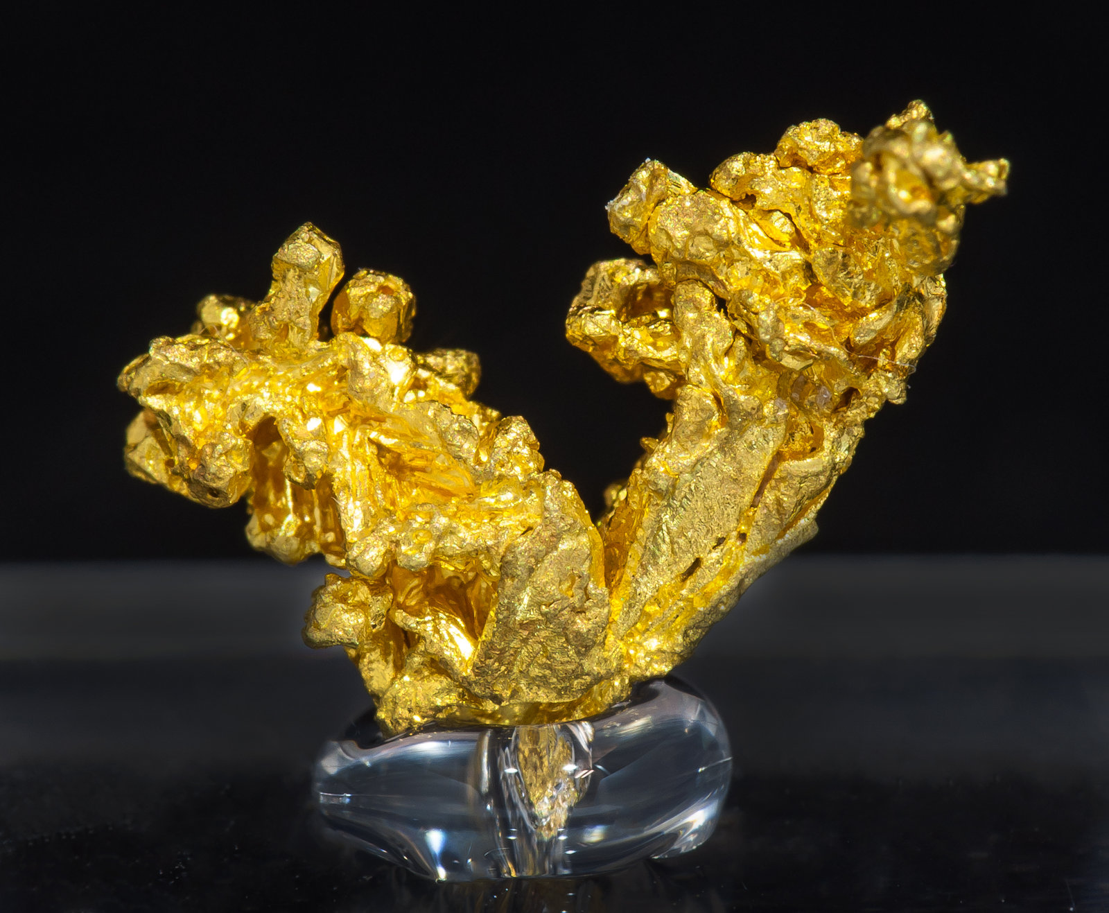 specimens/s_imagesAM4/Gold-MH89AM4f.jpg