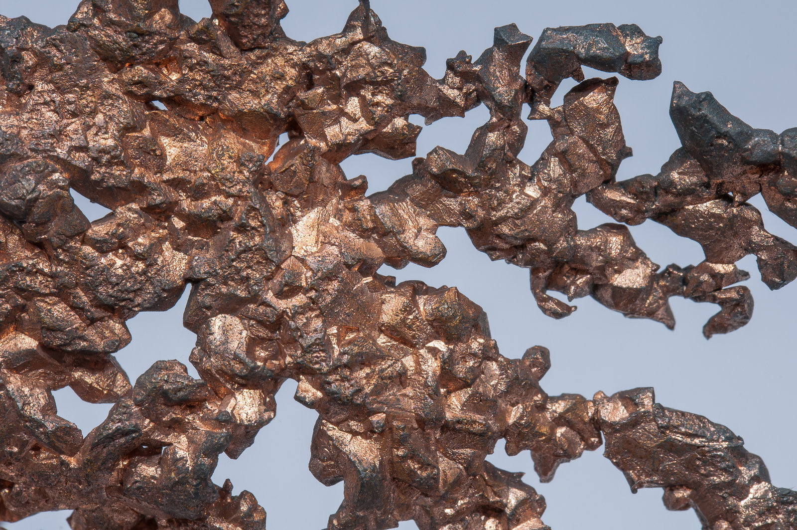 specimens/s_imagesAM5/Copper-NL97AM5d.jpg