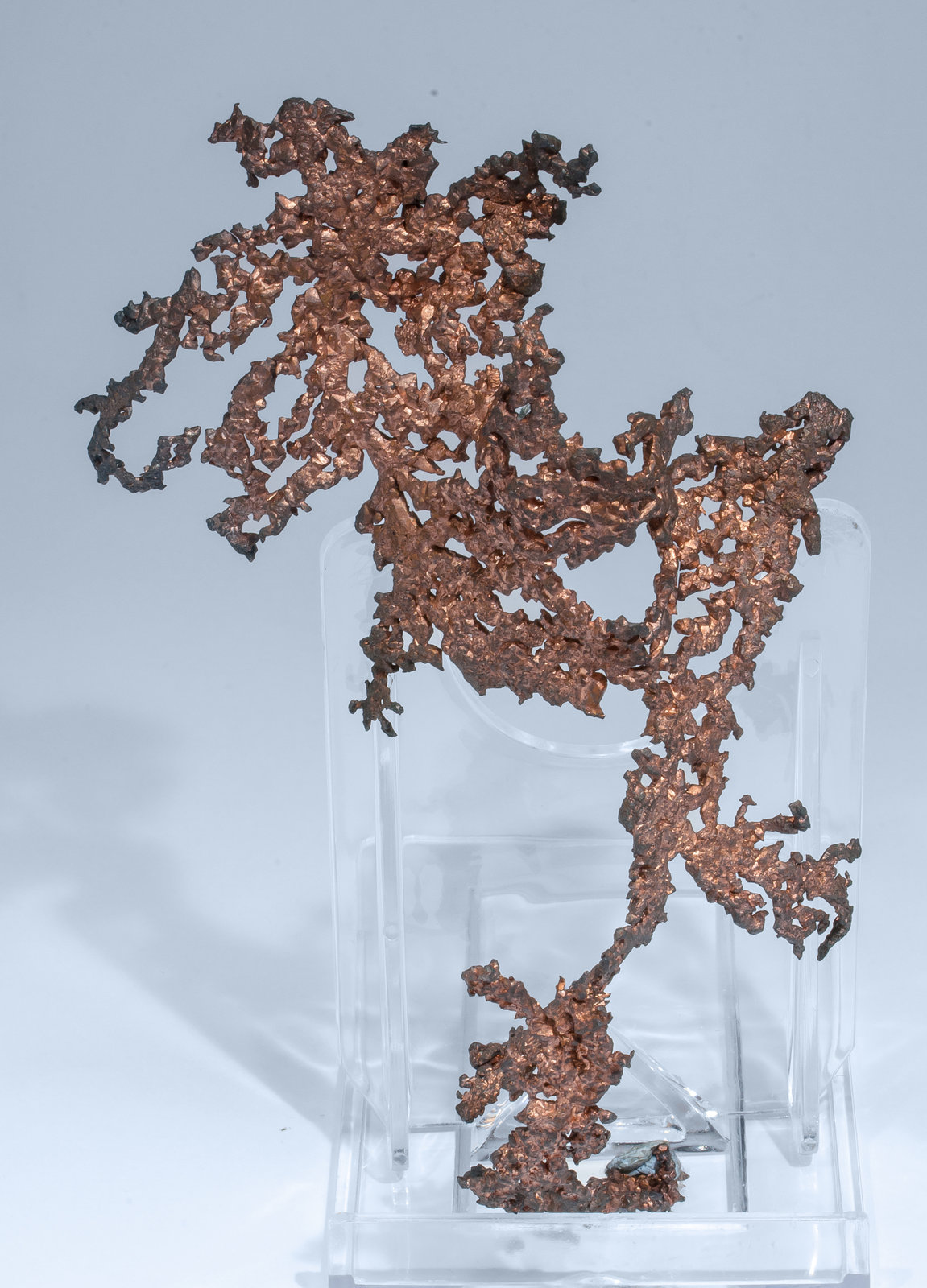 specimens/s_imagesAM5/Copper-NL97AM5r.jpg