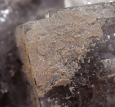 Fluorite with Pyromorphite. Detail / Photo: Joaquim Calln