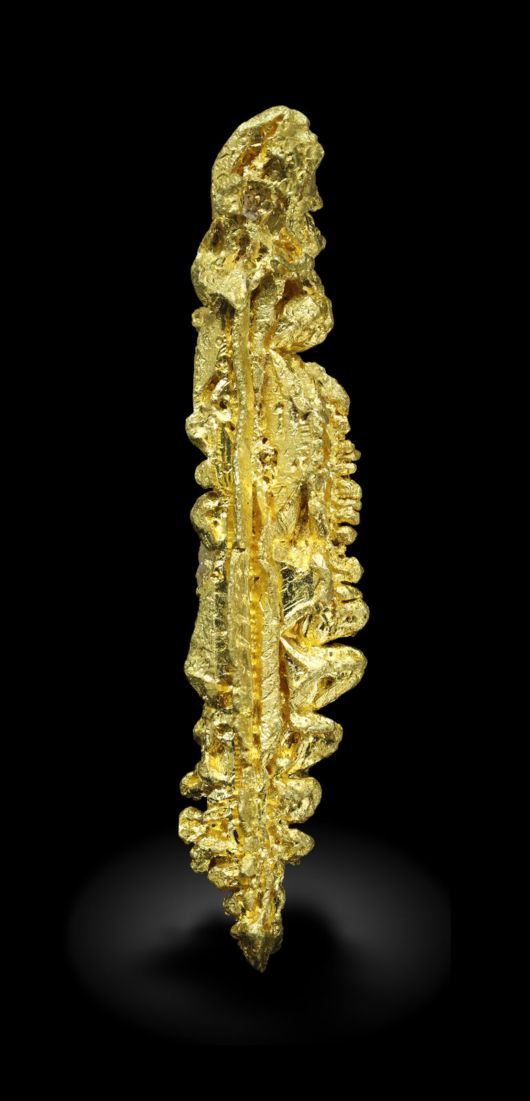 specimens/s_imagesAM5/Gold-MD53AM5_1086_r.jpg