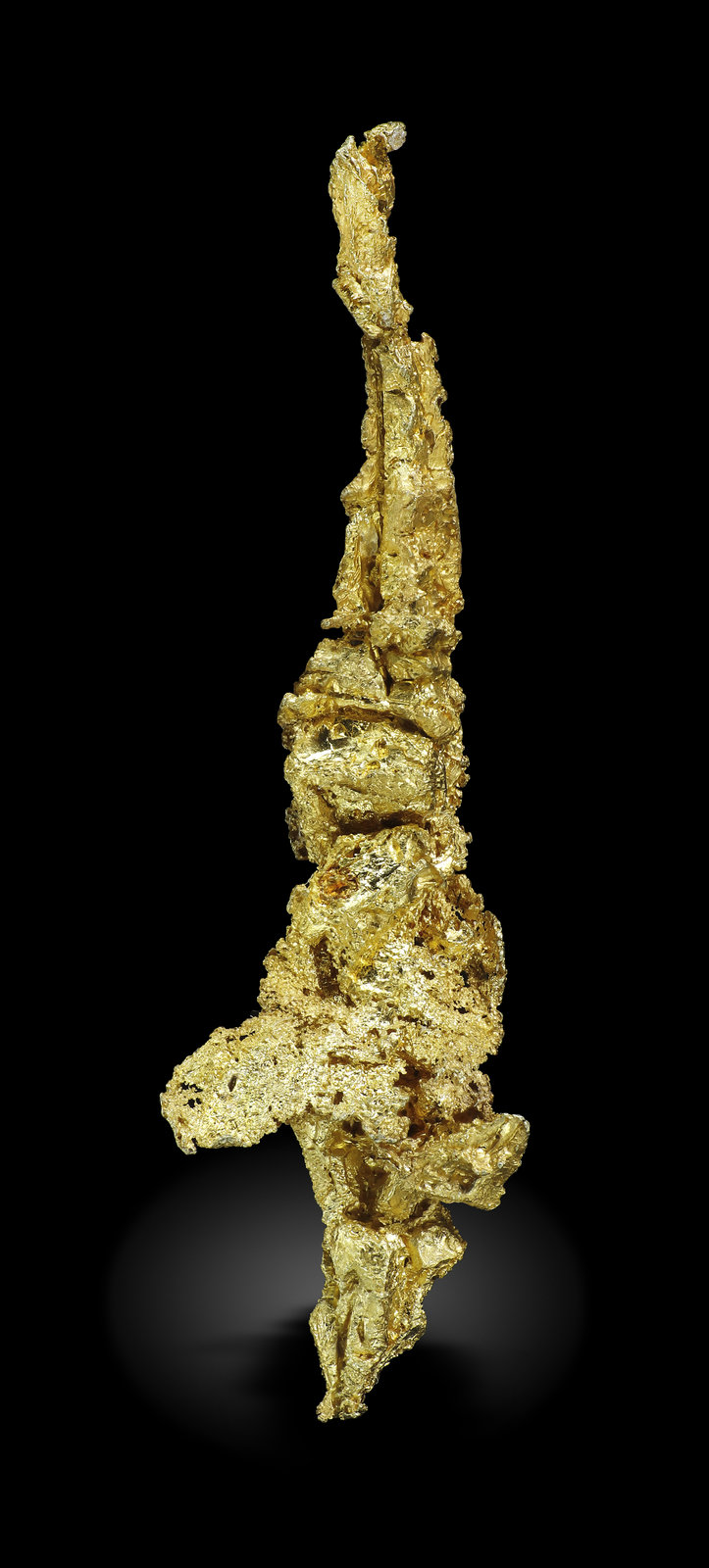 specimens/s_imagesAM5/Gold-MR47AM5_3369_f.jpg