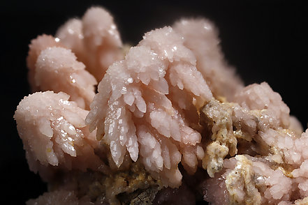 Quartz (variety rose quartz). Detail / Photo: Joaquim Calln