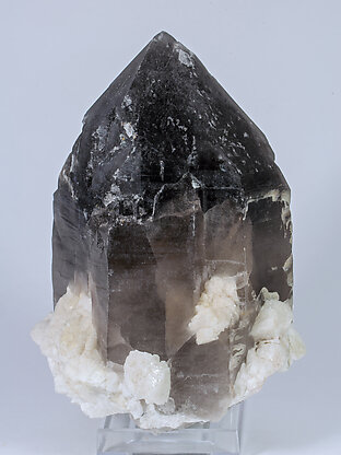 Quartz (variety smoky) with Albite and Microcline. Front