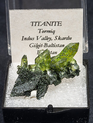 Titanite with Chlorite.