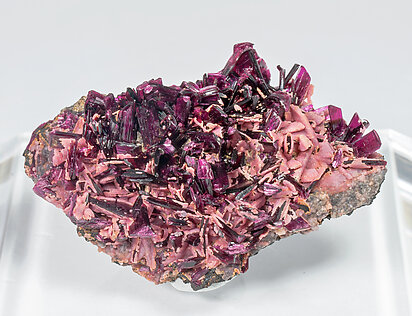 Erythrite with Calcite. 