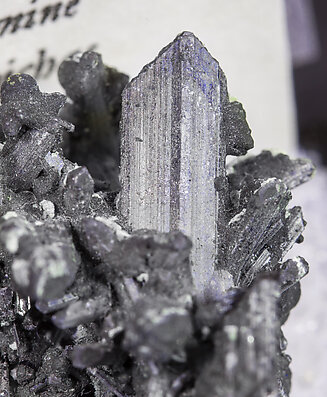 Bismuthinite with Pyrite-Marcasite. 