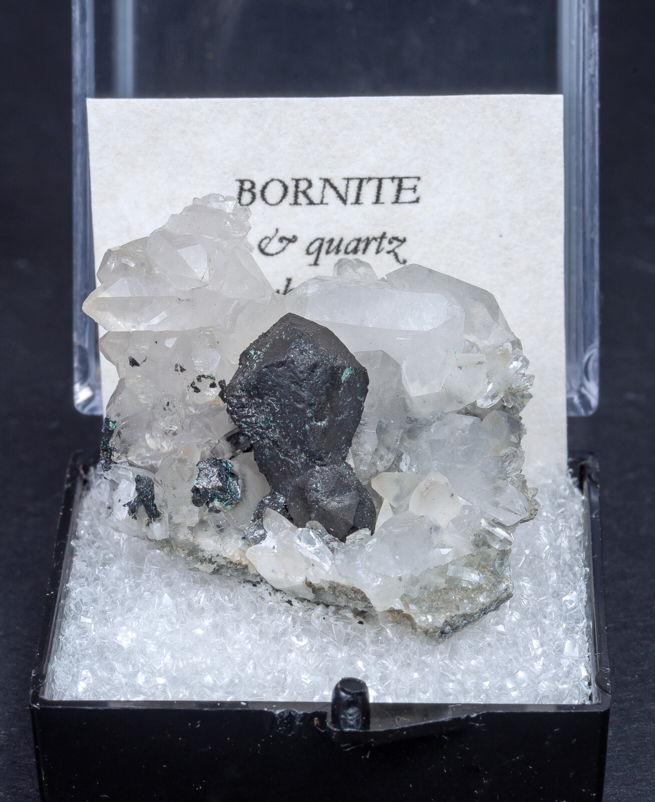 specimens/s_imagesAN0/Bornite-MJ66AN0f.jpg
