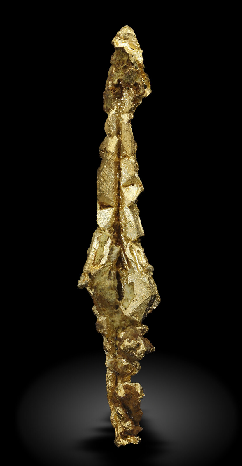 specimens/s_imagesAN0/Gold-TB98AN0_4606_r.jpg