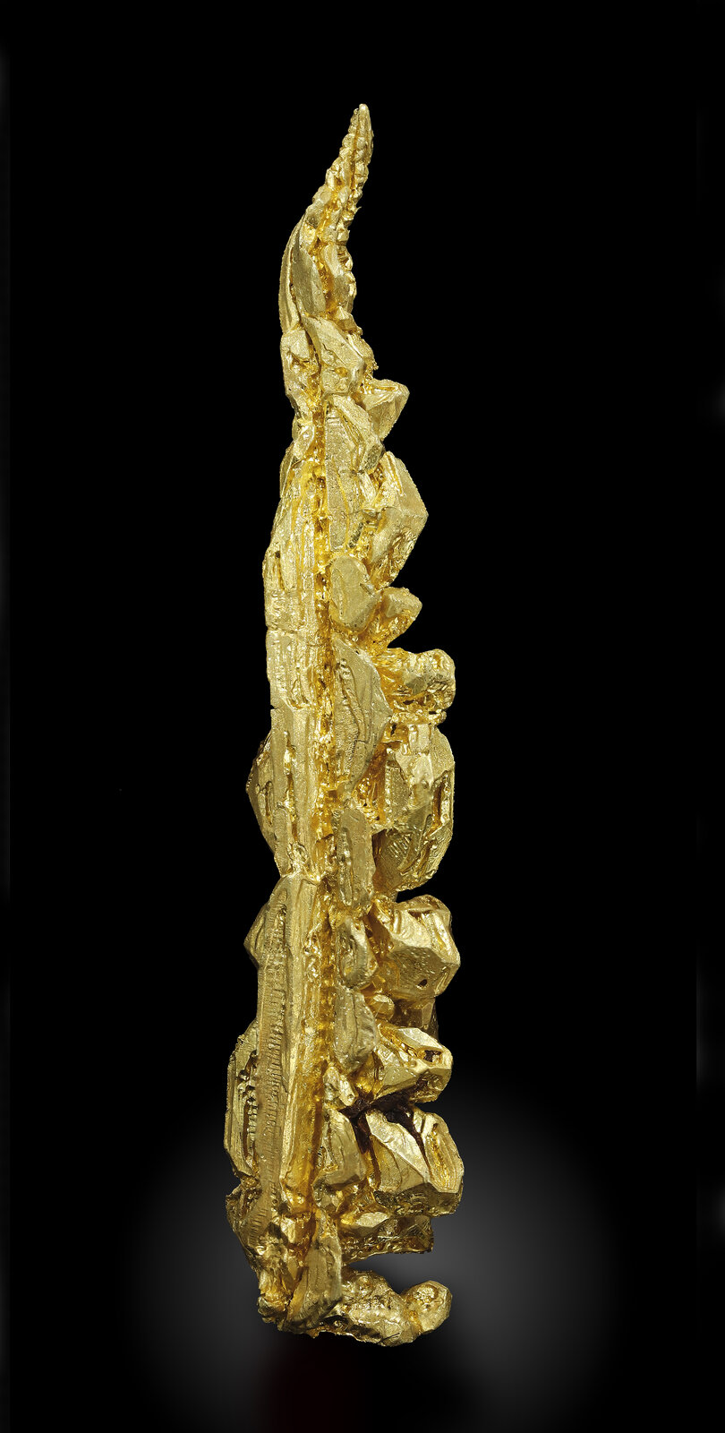 specimens/s_imagesAN0/Gold-TE16AN0_4810_r.jpg