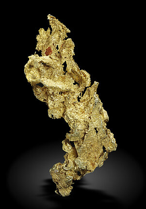 Gold. Front / Photo: Joaquim Calln