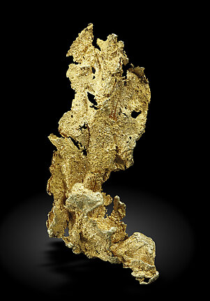 Gold. Rear / Photo: Joaquim Calln