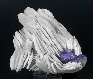 Baryte with Fluorite. 