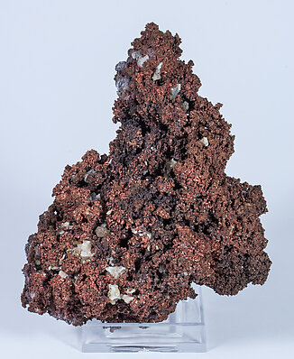 Copper with Fluorite. Rear