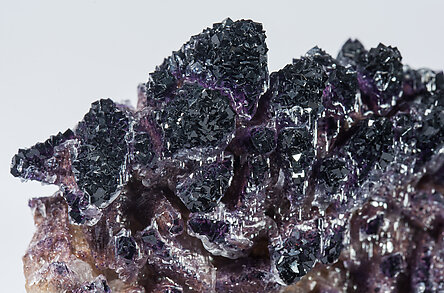 Fluorite with Calcite and Gypsum. 