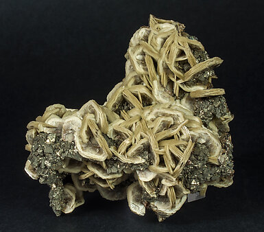 Siderite with Pyrite (octahedral). Side