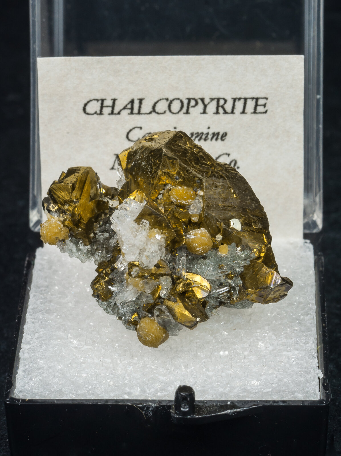 specimens/s_imagesAN7/Chalcopyrite-TBJ14AN7f1.jpg