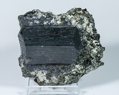Dravite with Biotite and Albite. Front