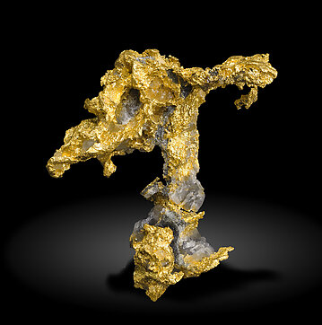 Gold with Quartz. Front / Photo: Joaquim Calln
