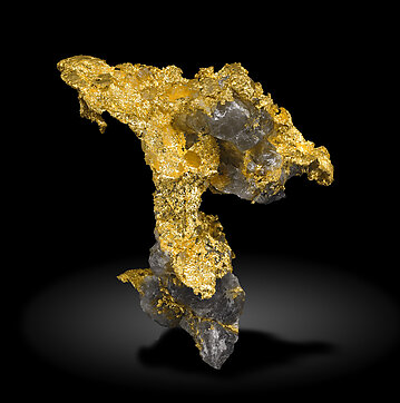 Gold with Quartz. Rear / Photo: Joaquim Calln