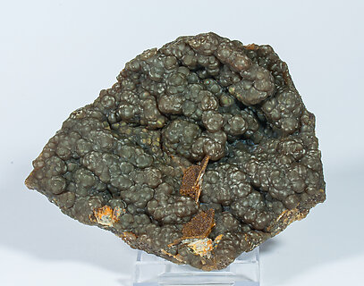 Siderite (variety sphrosiderite) with Baryte. Front