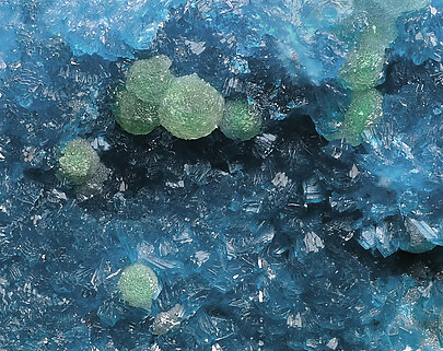 Cuprodongchuanite with Veszelyite. Detail / Photo: Joaquim Calln