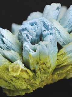 Plumbogummite with Pyromorphite. Detail / Photo: Joaquim Calln
