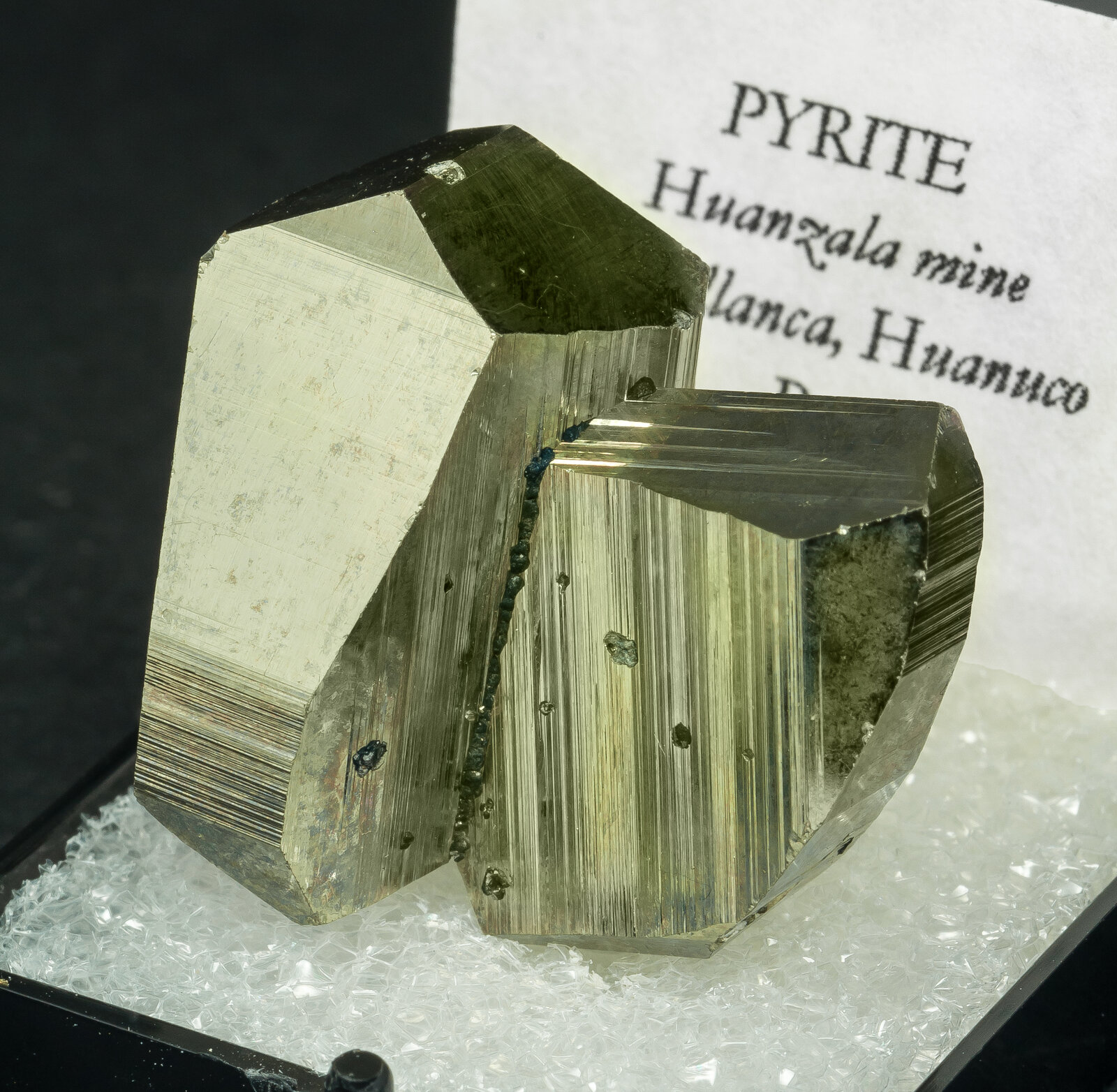 specimens/s_imagesAO4/Pyrite-TBD26AO4s.jpg
