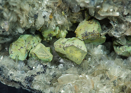 Ksterite coated by Mushistonite and on Muscovite. 