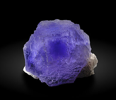 Fluorite with Quartz. Front with light behind / Photo: Joaquim Calln