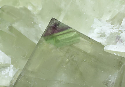 Fluorite with Calcite. Photo: Joaquim Calln