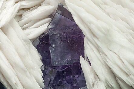 Baryte with Fluorite. 