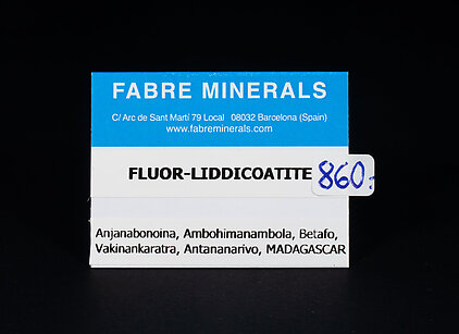 Fluor-liddicoatita