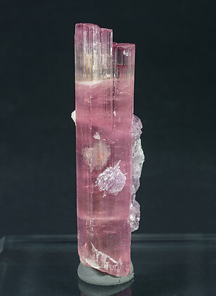 Elbaite (variety rubellite) with 'lepidolite' and Albite. Front
