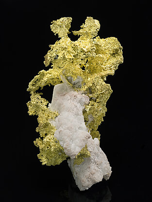 Gold with Quartz. Front / Photo: Mark Mauthner