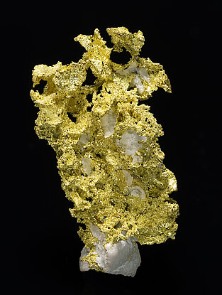 Gold with Quartz. Rear / Foto: Mark Mauthner