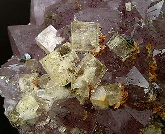 Fluorite on Quartz (variety amethyst). 