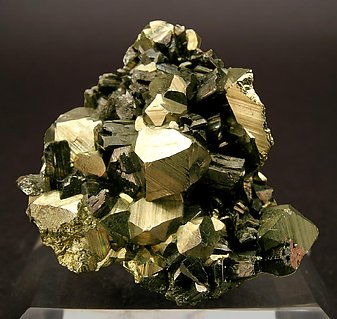 Enargite with Pyrite. 