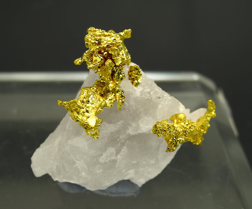 Oro nativo con Cuarzo Eagle's Nest Mine, Placer County, California (USA) Fabre Minerals Oro nativo con Cuarzo Eagle's Nest Mine, Placer County, California (USA) Fabre Minerals