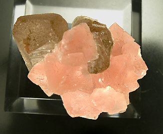 Fluorita octadrica con Cuarzo ahumado. Vista superior