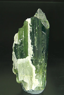 Elbaite with Mica. Rear