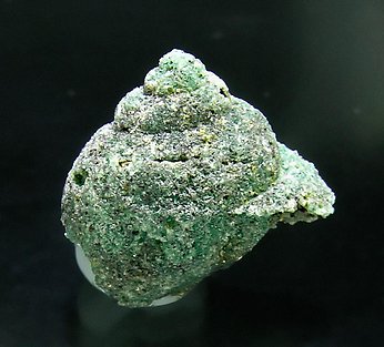 Beryl (variety emerald) replacing fossil. Front