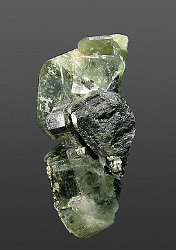 Fluorapatite with Ferberite and Muscovite. Side
