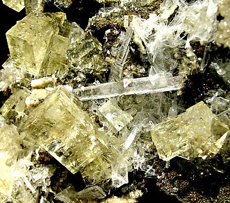Fluorite with Gypsum, Calcite, Celestine and Pyrite. 